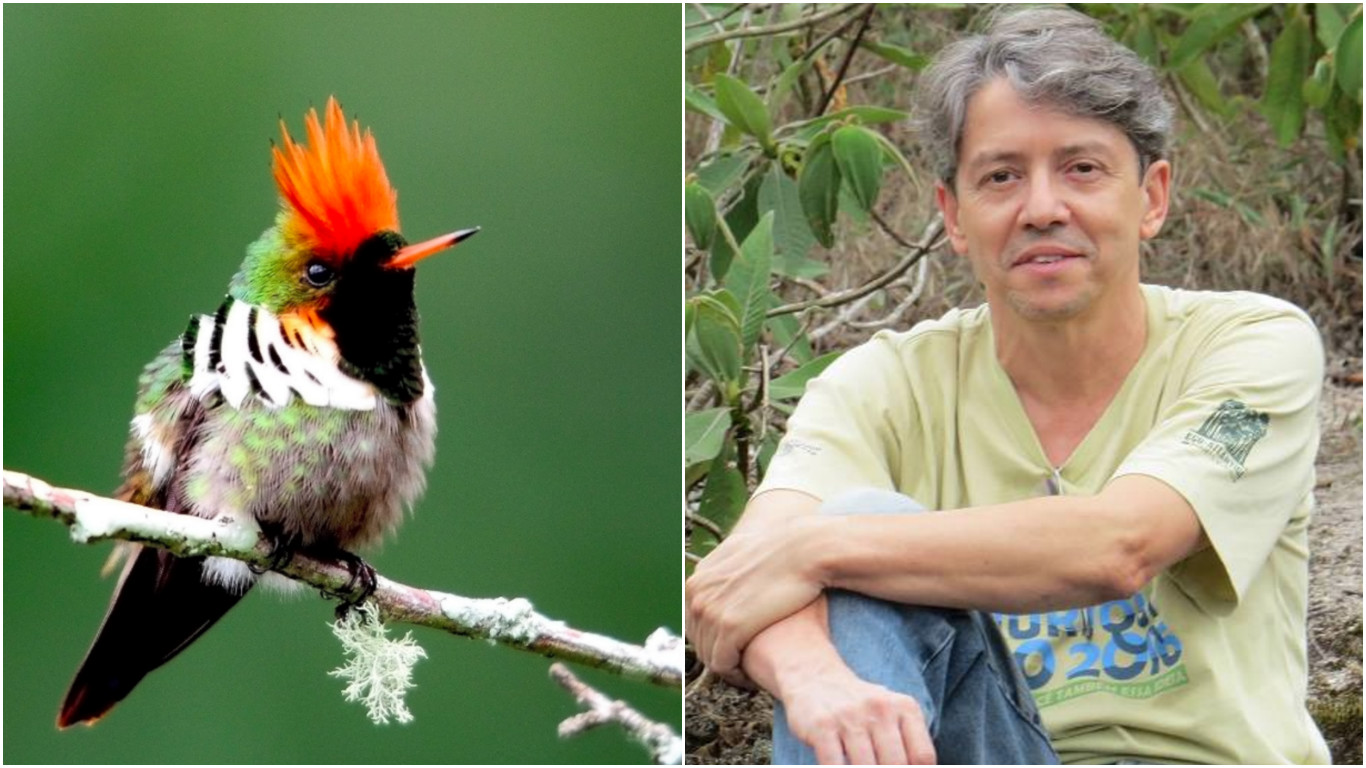 À esquerda, o beija-flor topetinho-vermelho, símbolo do Instituto da mata atlântica; à direita, o professor Sérgio (foto: inma e arquivo pessoal)