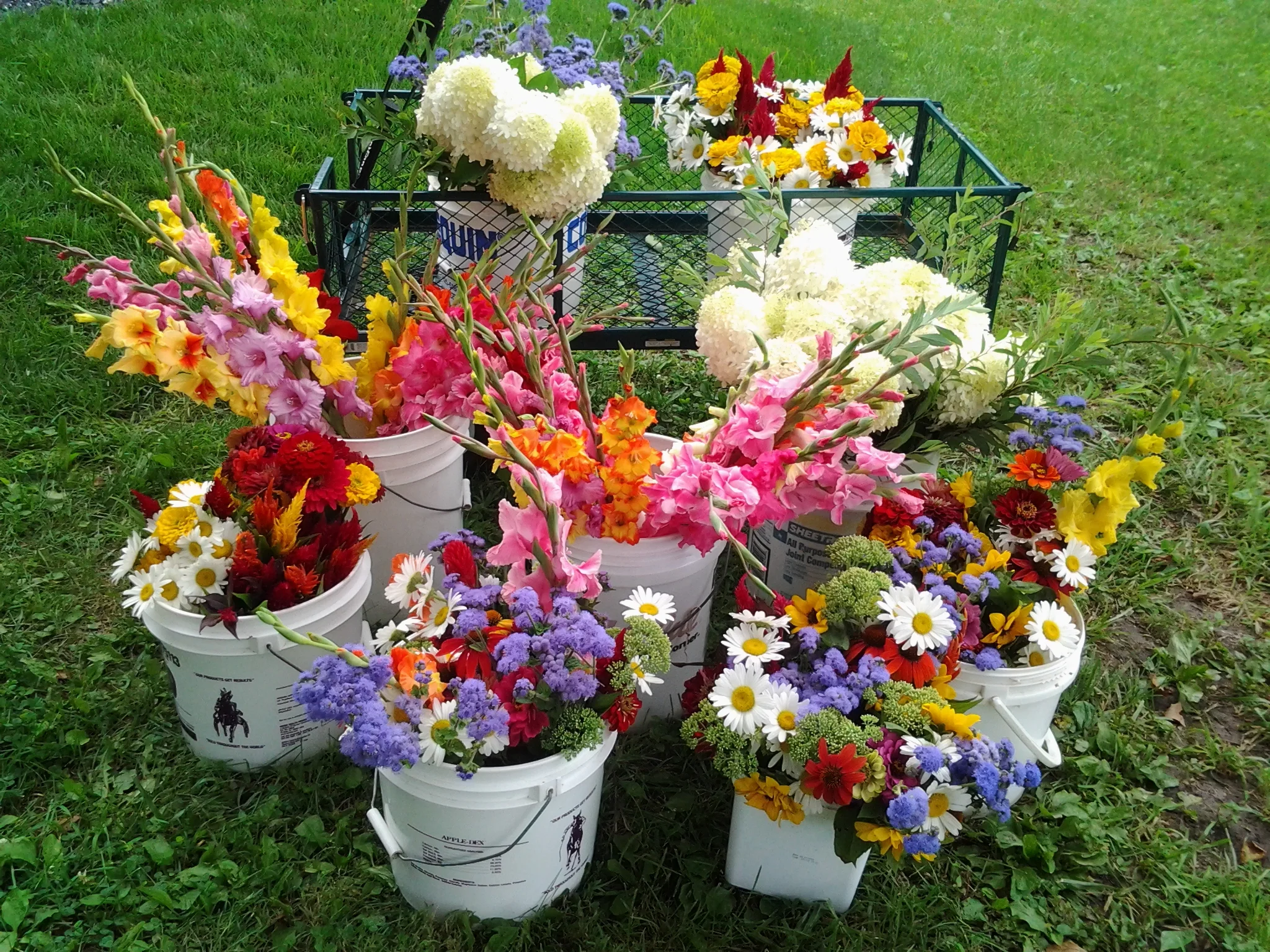 Hidden Ridge Flower Farm.jpg