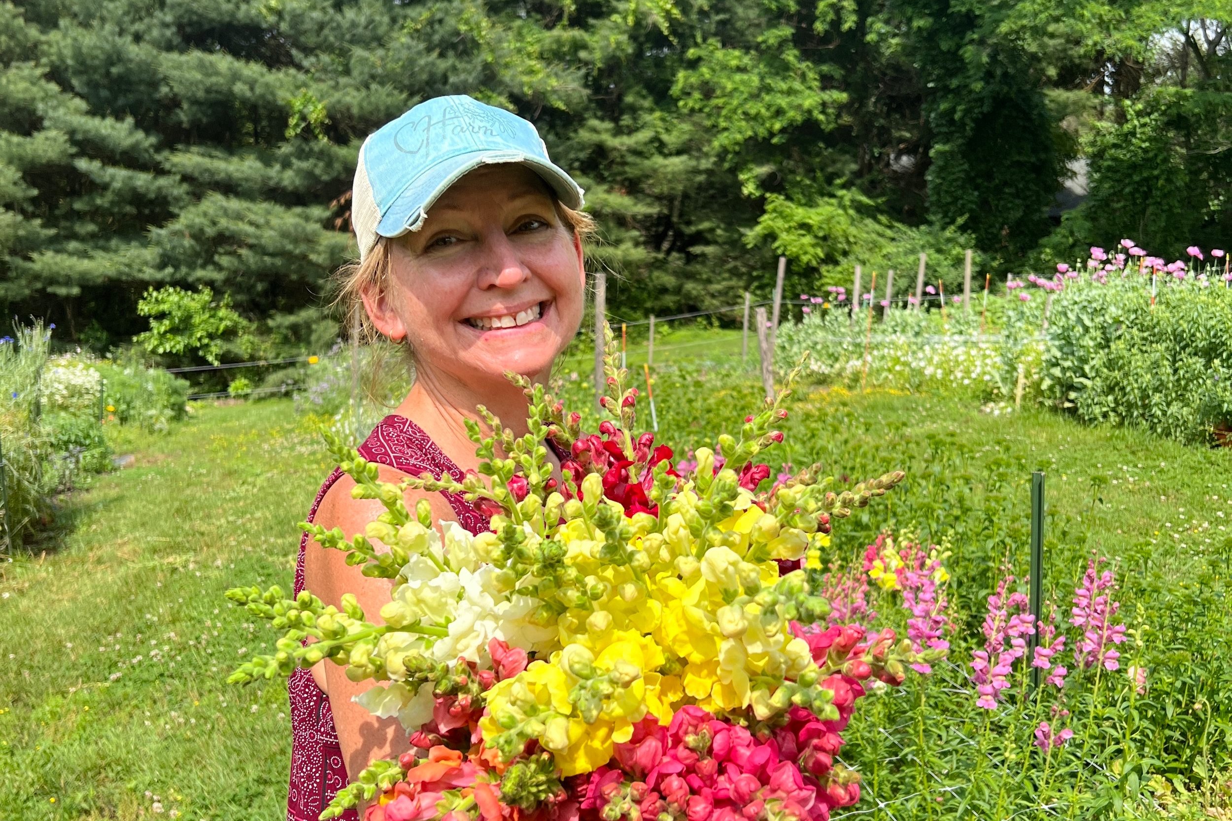 Baltimore — Maryland Grown Flowers