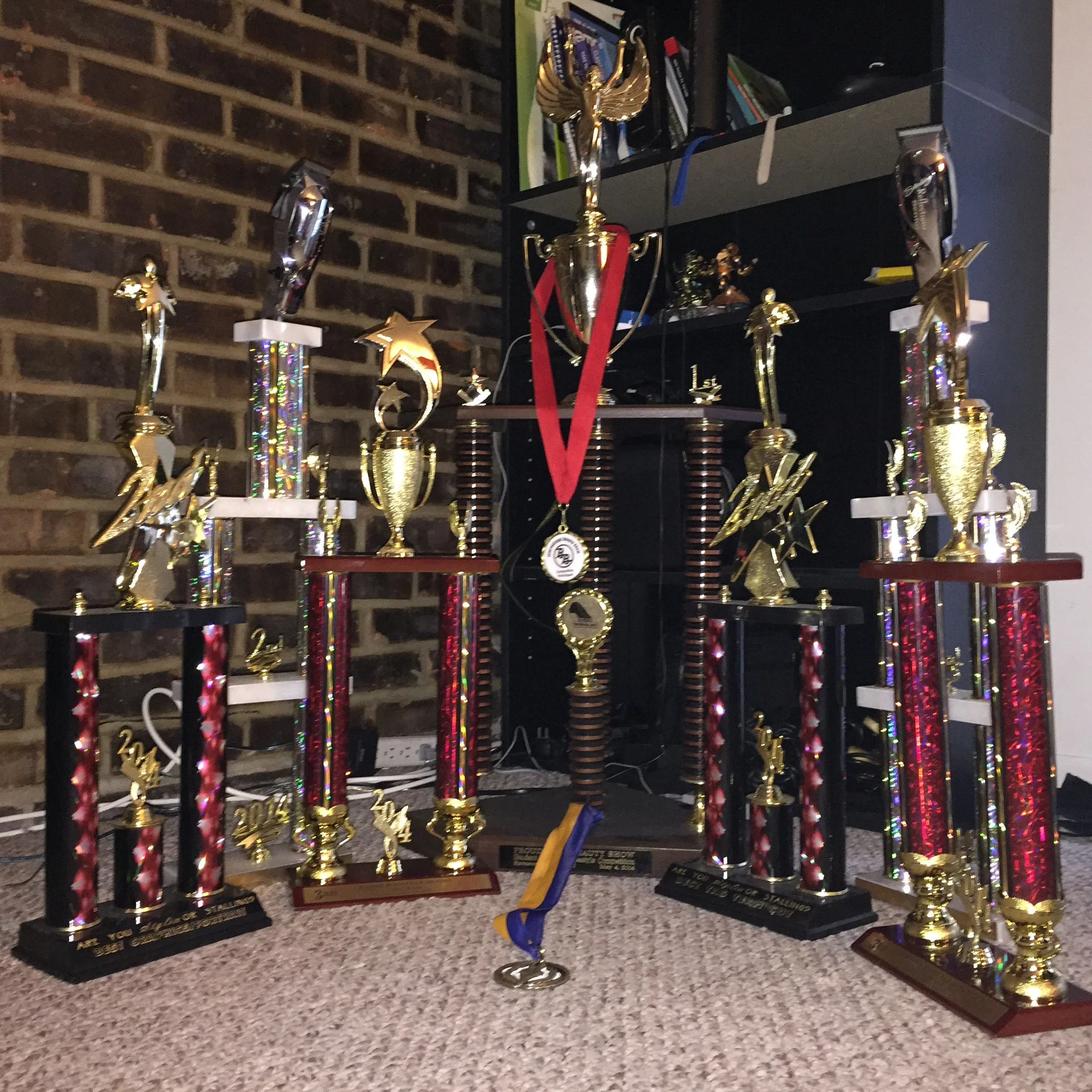 Awards.JPG