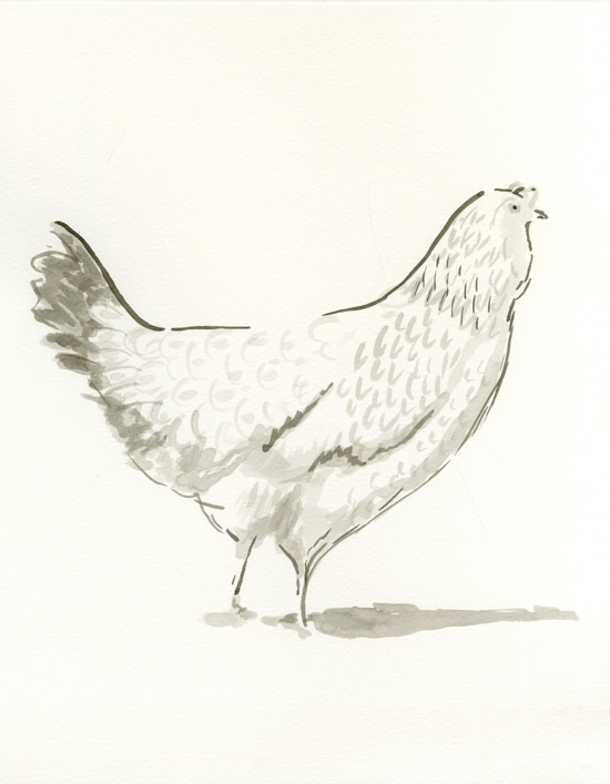 Chicken.1.gif