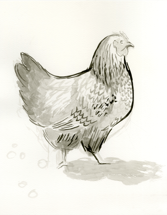 Chicken.2.gif