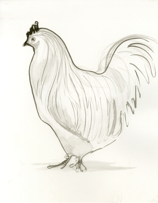 Chicken.3.gif