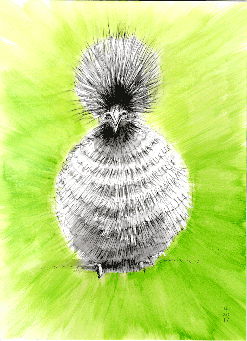 waters_watercolor.bantam.1.gif