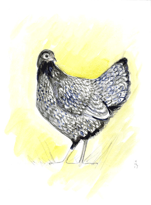waters_watercolor.chicken.2.gif