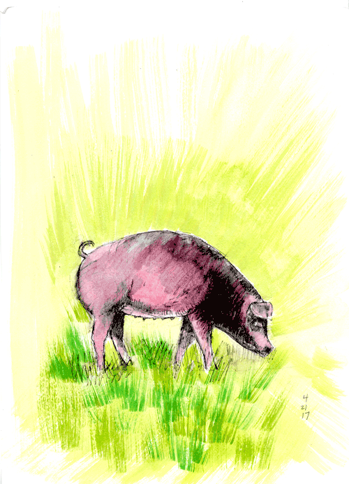 waters_watercolor.pig.gif