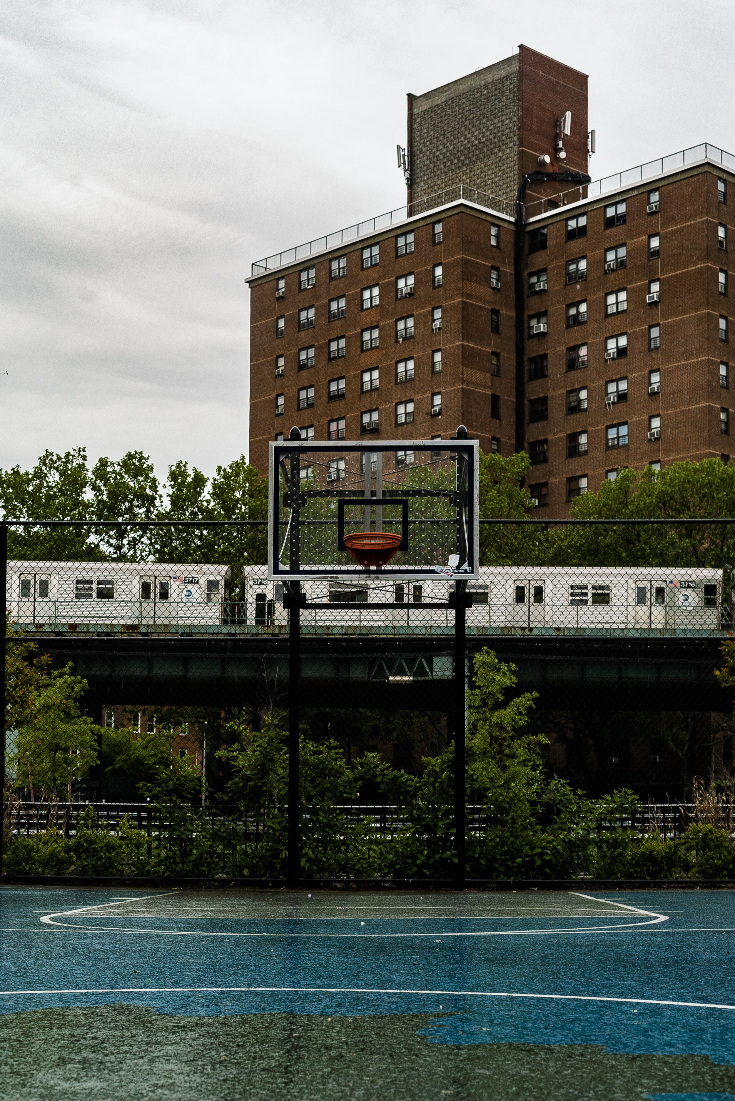 DJ 131-2018 Random Brooklyn Photography_019-Edit-Edit.jpg