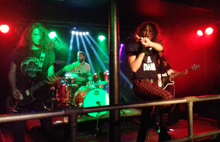 Breed: Chinnerys, Southend