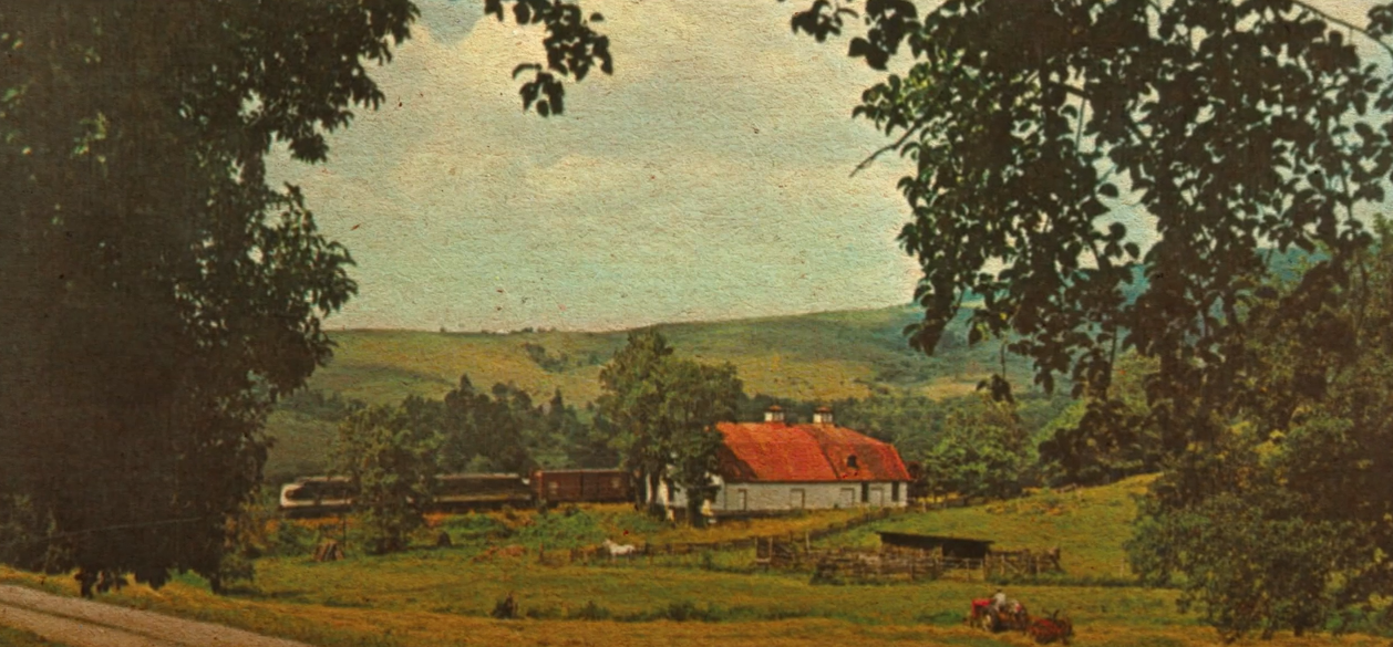 Cabbage – You’ve Made An Art Form (From Falling To Pieces)