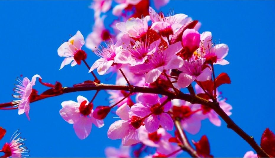 Armstrong - Graffiti