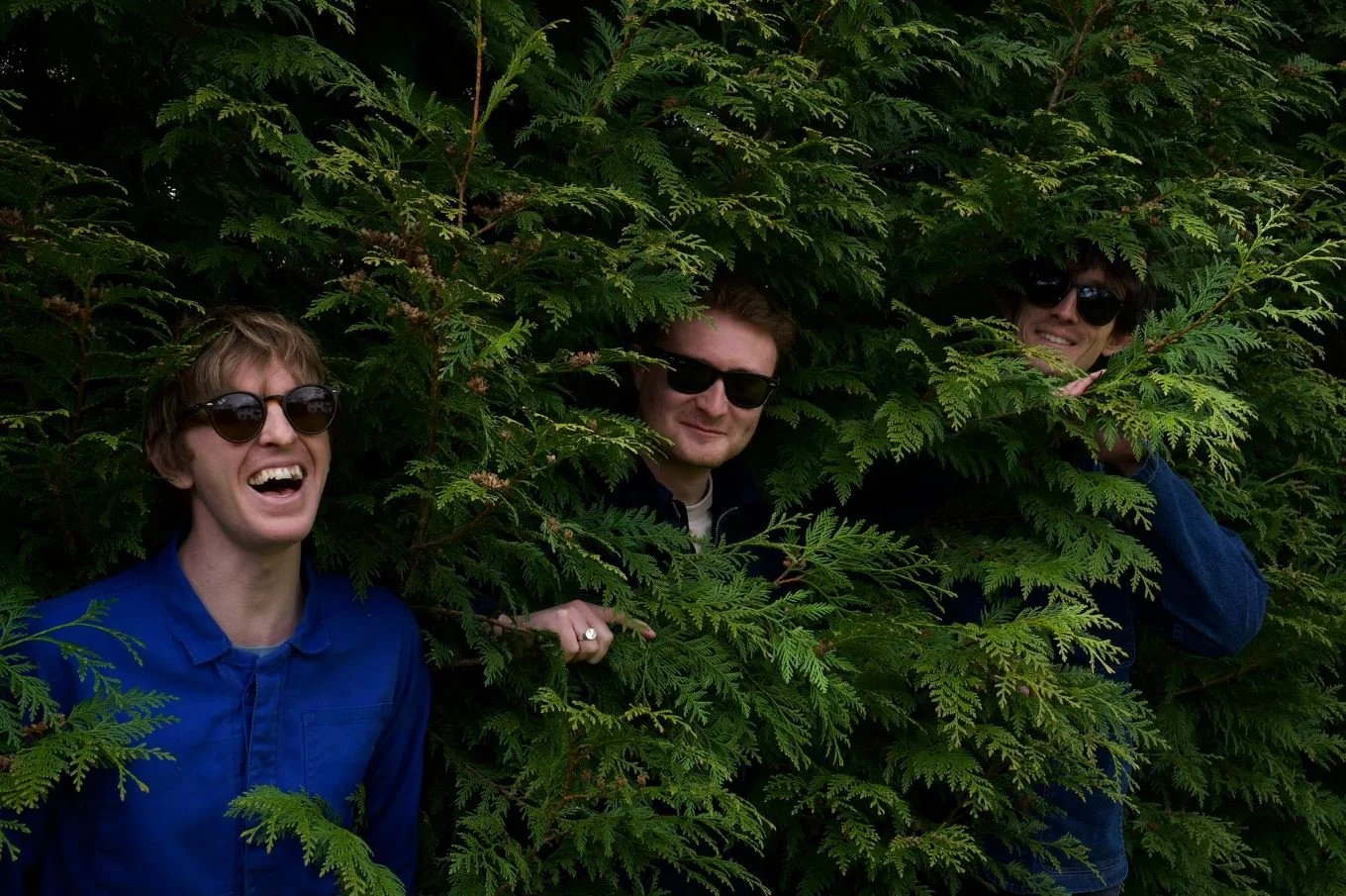 The Lunar Towers - Morpho Butterfly