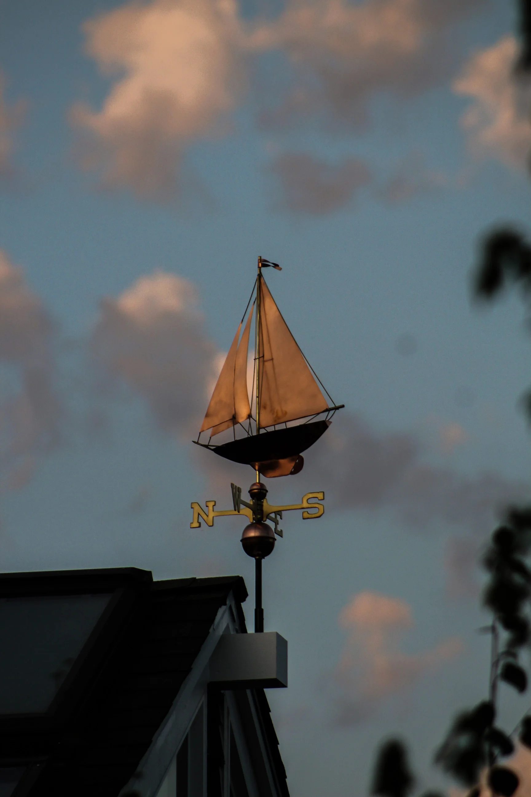 IMG_6939_edited.jpg