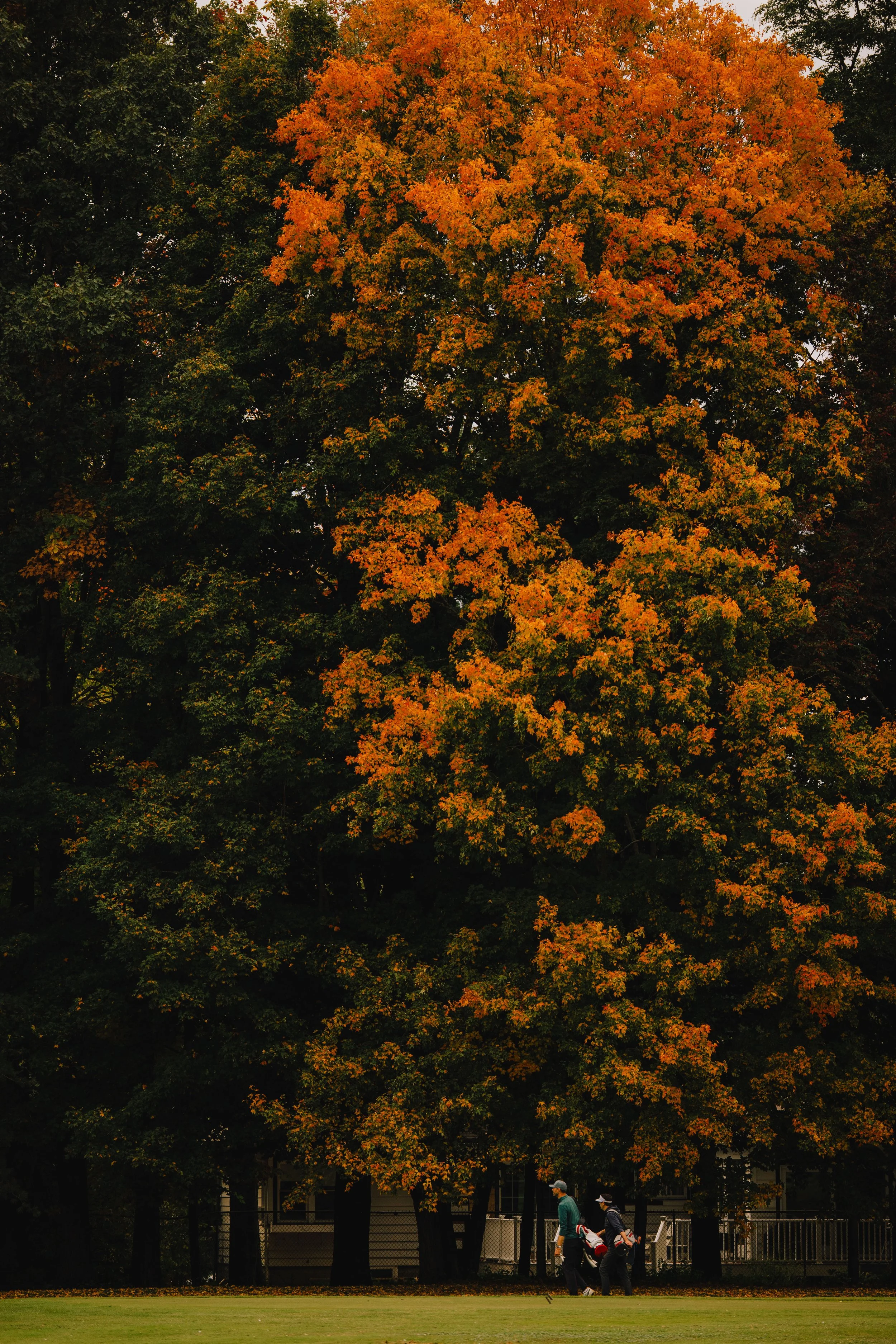 BCC_October23_CirilliPhoto-59.jpg
