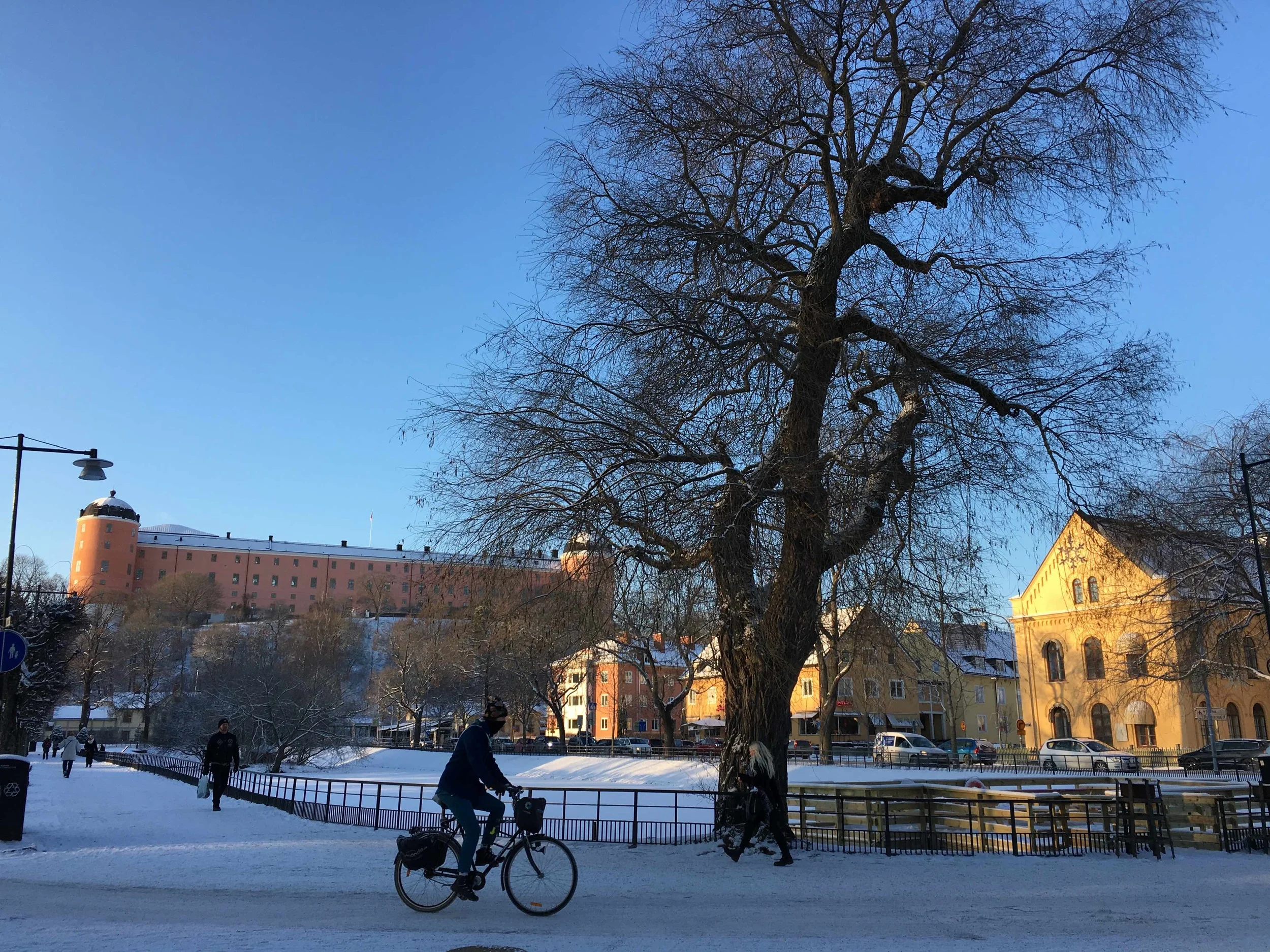 Uppsala castle and Svandammen (the Swan pond).