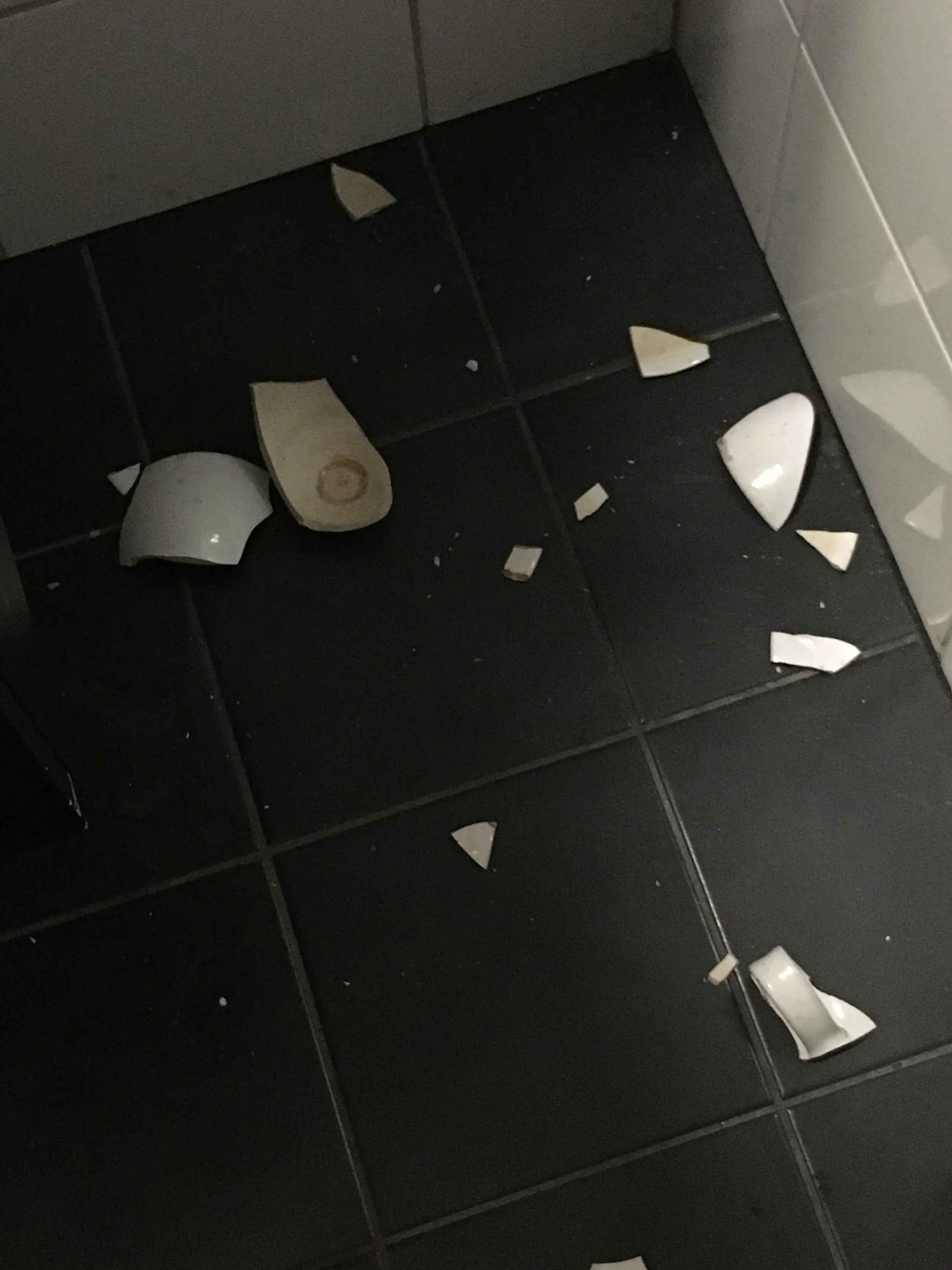 My favorite tea cup in pieces on the bathroom floor.