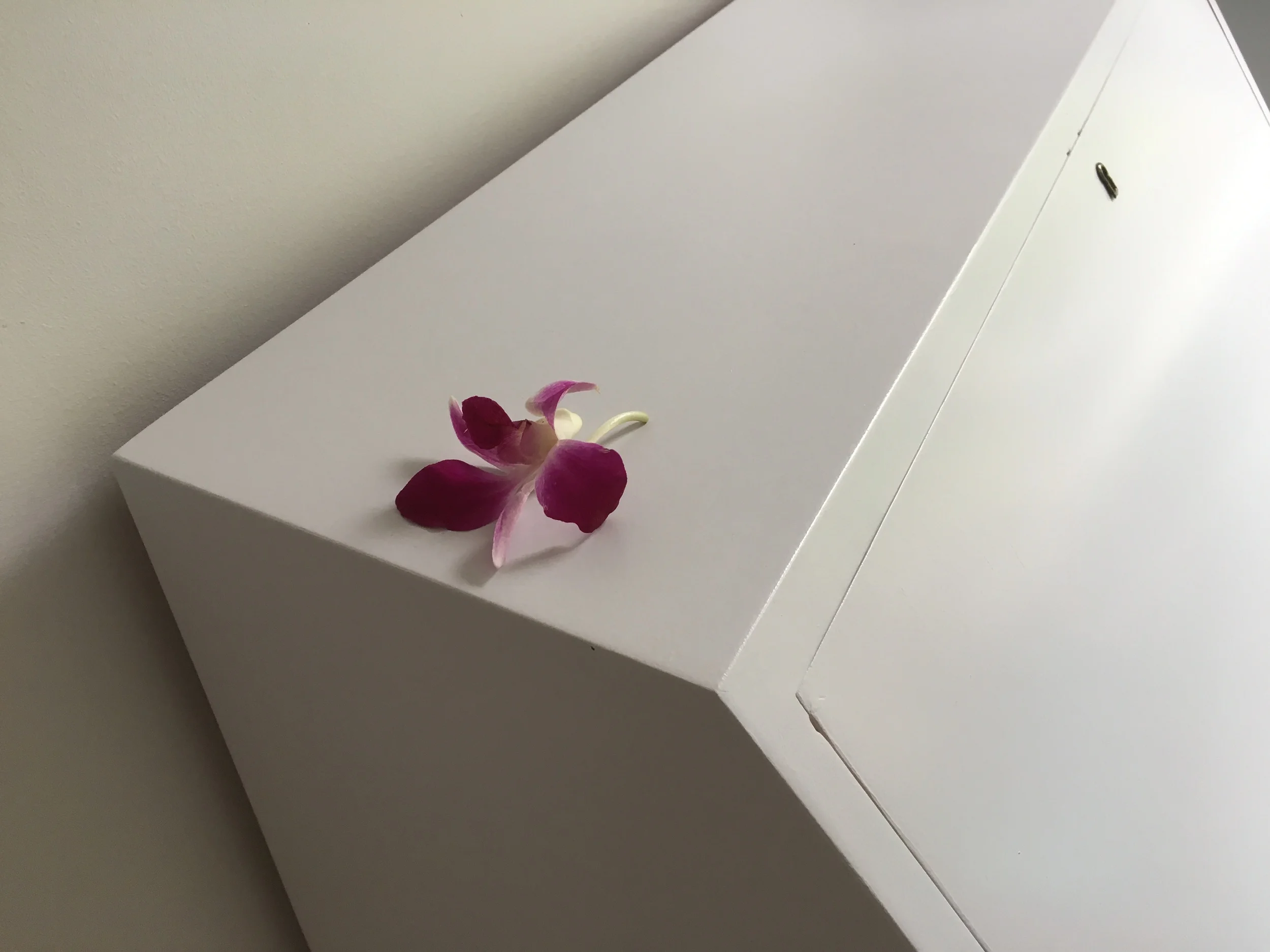 They left the room very tidy, and had even put a little flower on the bureau :-)