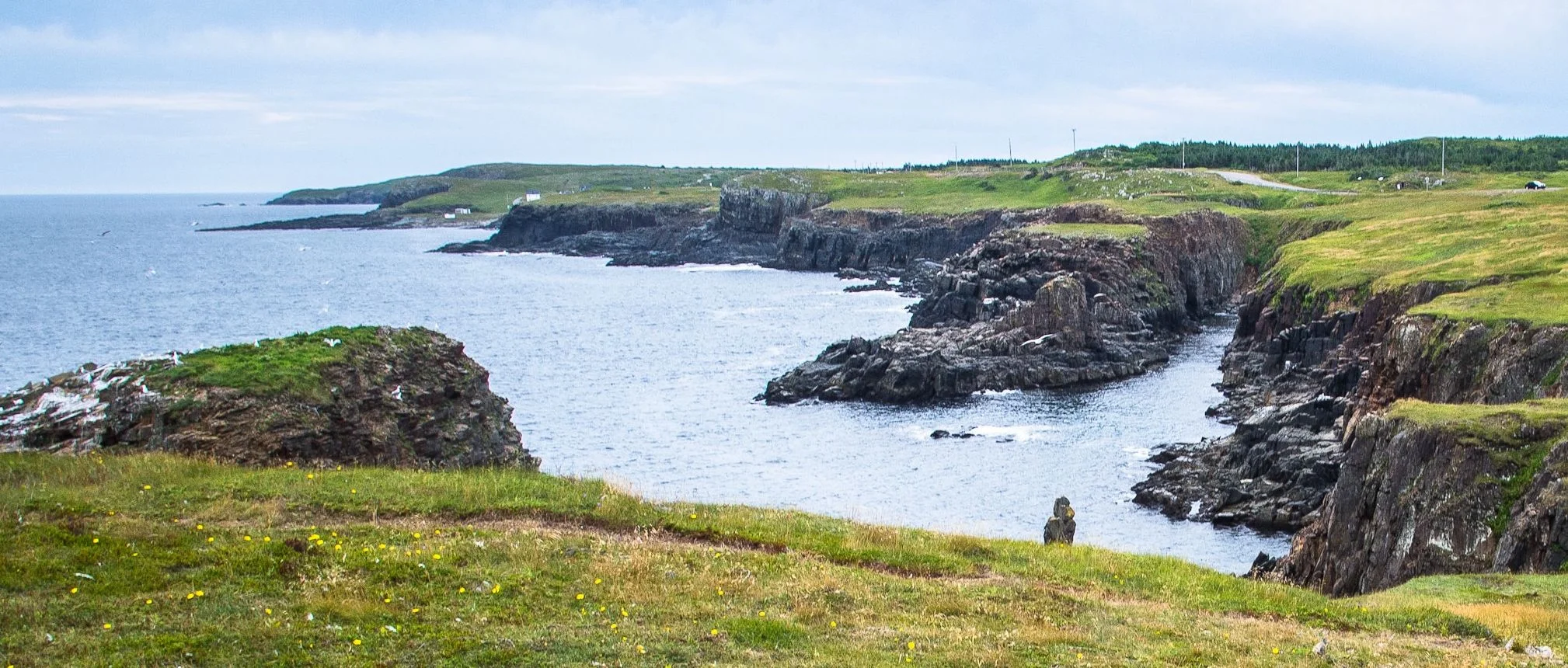 Newfoundland coastline
