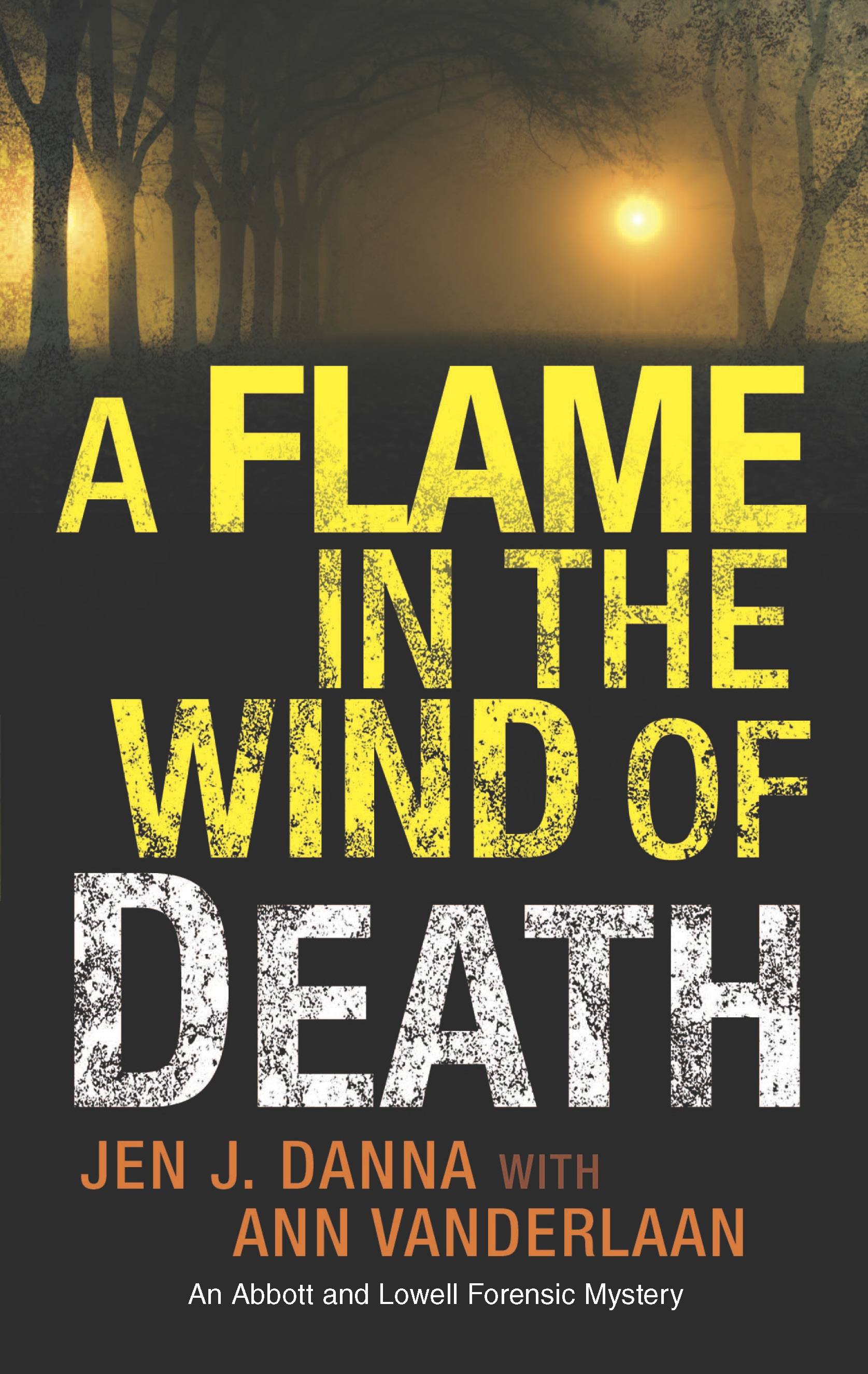 A FLAME IN THE WIND OF DEATH - HQN.jpg