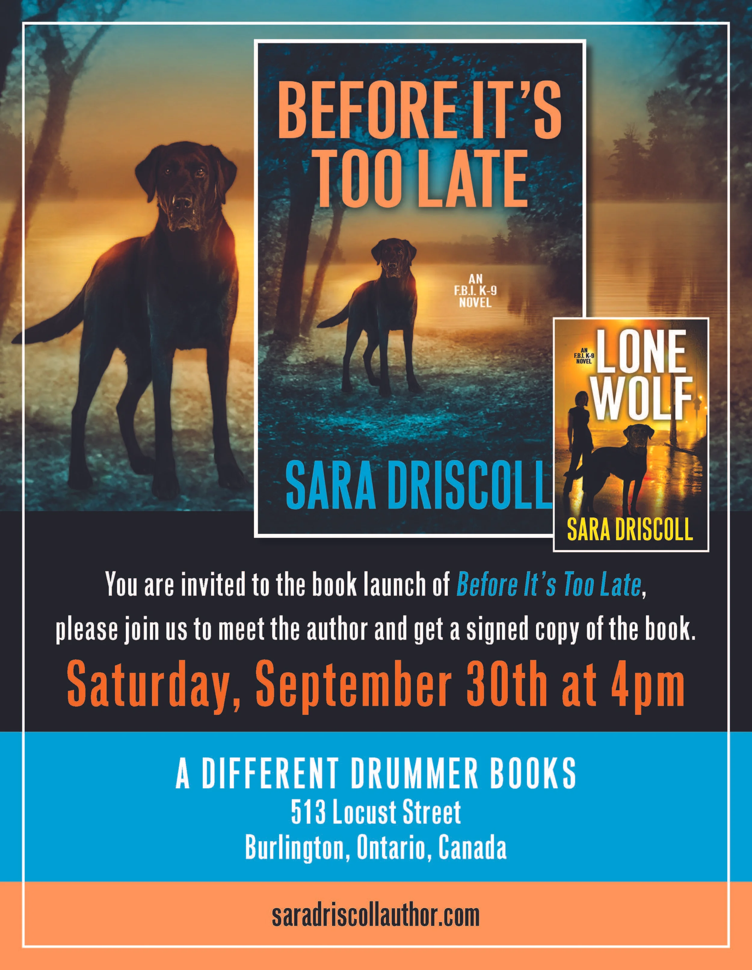 Before it's too late-flyer.jpg