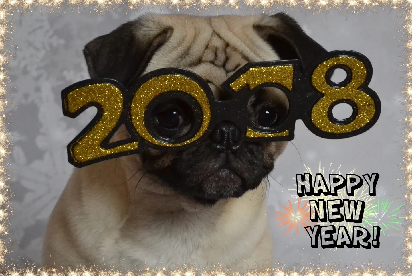 DaPuglet_HappyNewYear2018.jpg