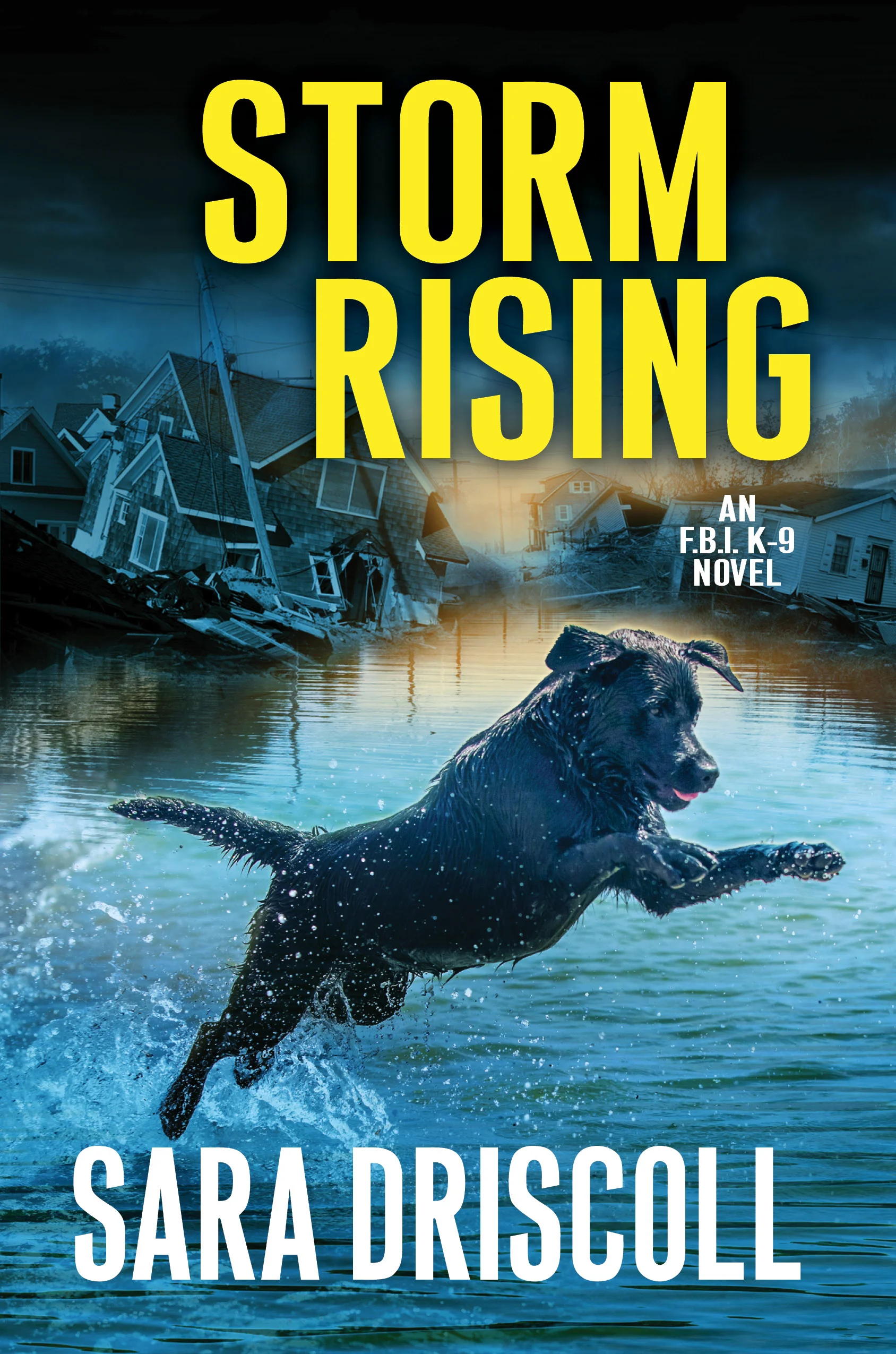 Storm Rising HC.jpg