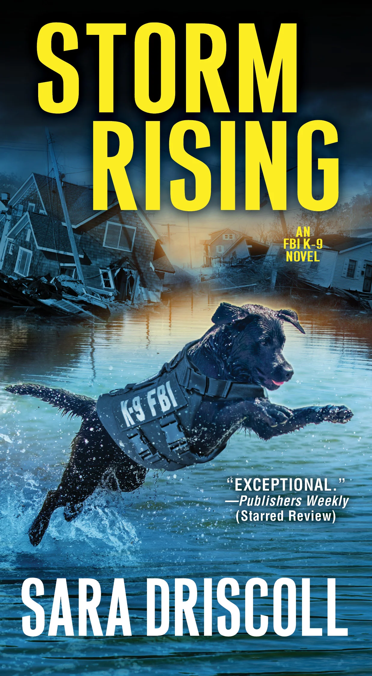 Storm Rising MM.jpg