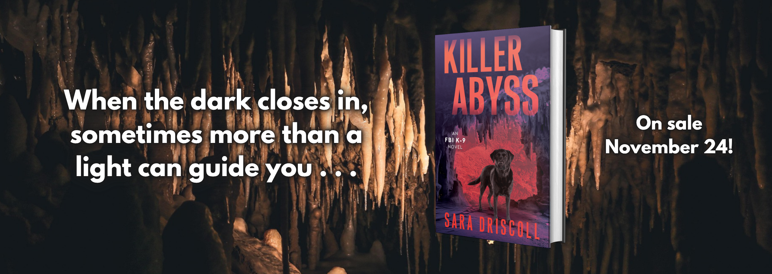 KILLER ABYSS Website Header - November 24.png