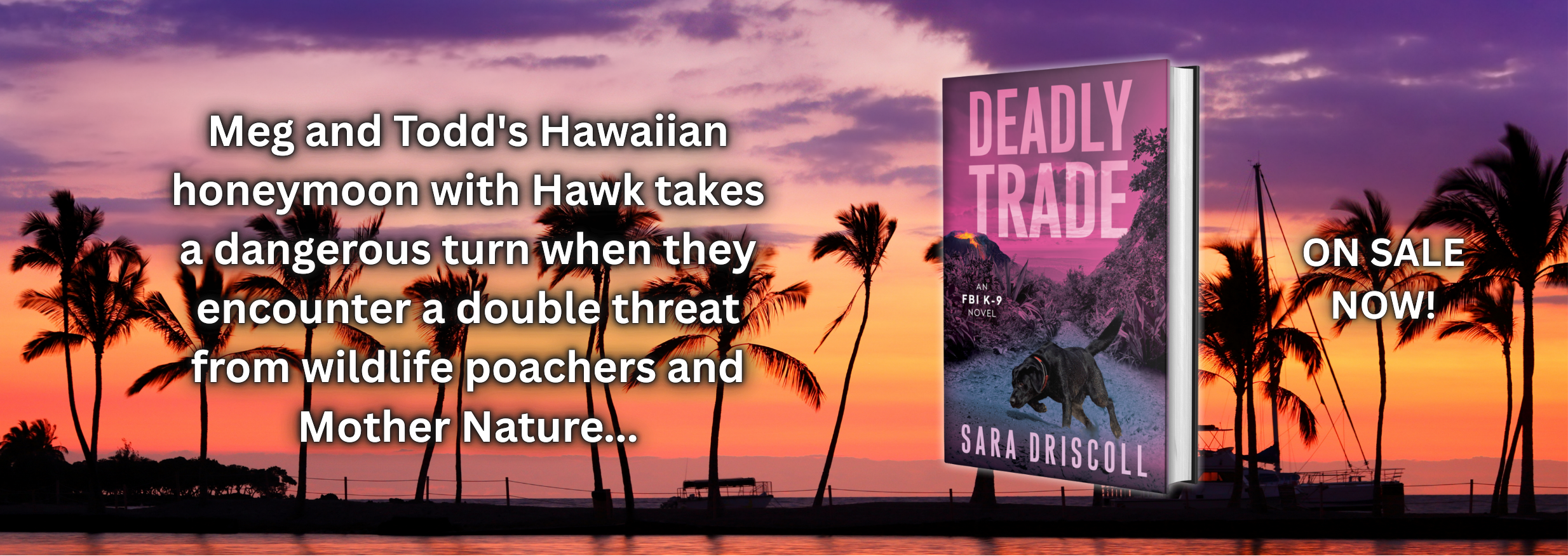 DEADLY TRADE Website Headers - On Sale Now.png