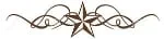 star divider.jpg