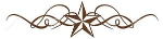 star divider.jpg
