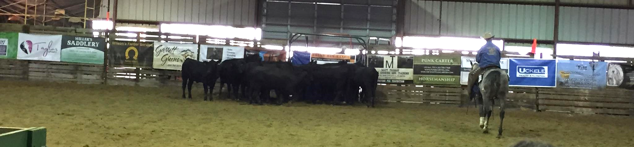 RHAM Show Arena BANNErs