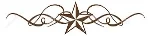 star divider.jpg
