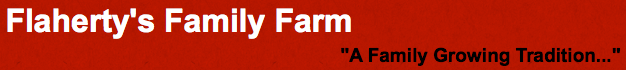 Flaherty's Family Farm is a 200 acre working farm located 1 mile from the Scarborough Turnpike exit. Flaherty's Farm includes a retail farm store, horse barn, and lovely Event Barn. Flaherty's Farm Event Barn caterers primarily to couples looking for a rustic yet elegant wedding venue. The barn has been beautifully refurbished with bright wood walls, wagon wheel chandeliers, and a granite floor. The barn includes handicapped accessible restrooms as well as a caterer's room. The grounds surrounding the Barn includes 17 acres of picturesque fields, as well as the Woodland Gazebo Area ceremony site. 