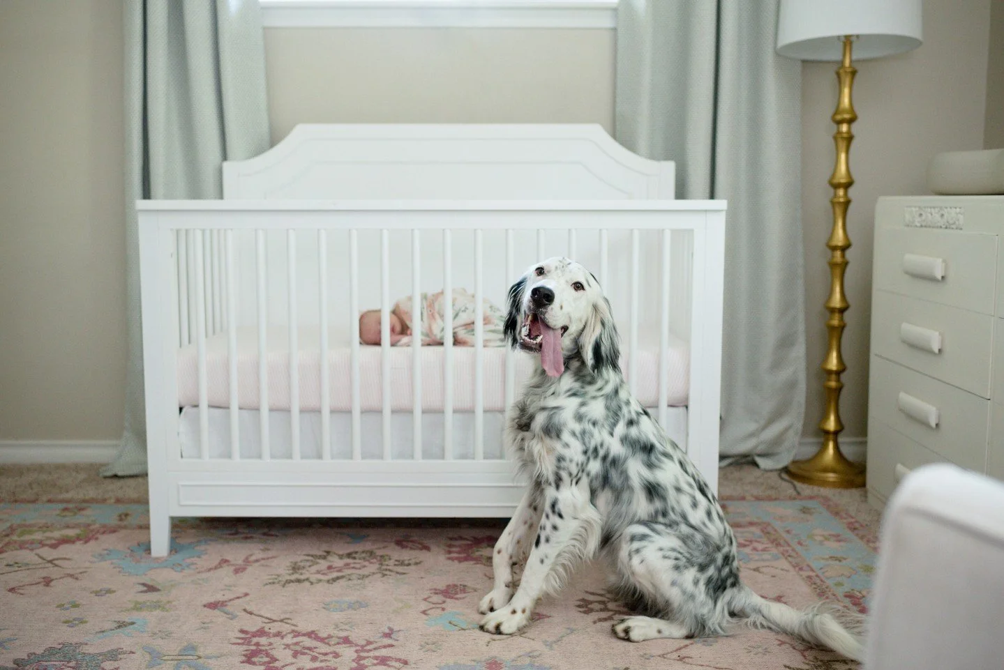 when the pup can't get enough of their new playmate

Dallas Newborn Photographer
Dallas Baby Photographer
Dallas Newborn Lifestyle Photographer

#dallasnewborn #dallasnewbornphotographer #planonewbornphotographer #frisconewbornphotographer #highlandp