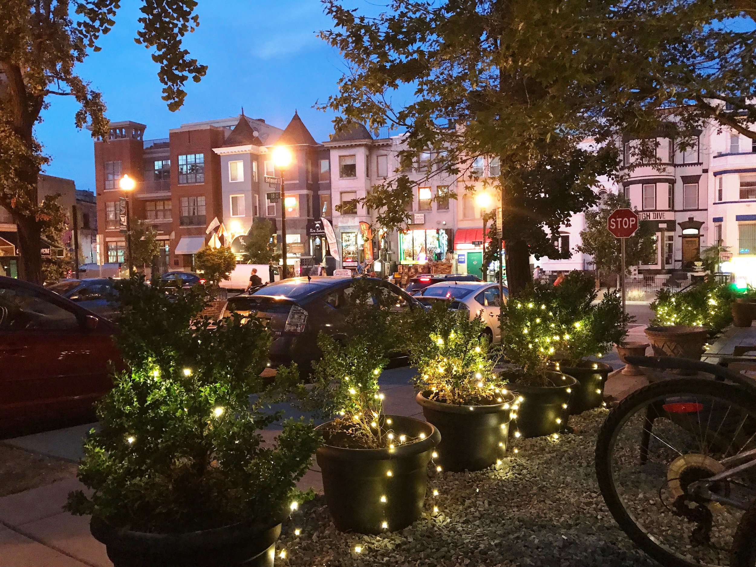 Adams Morgan hook up