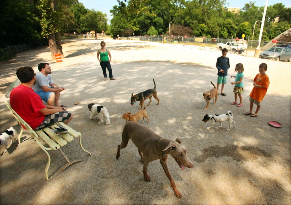 dog-parkjpg-5f97db1ad7133c07.jpg