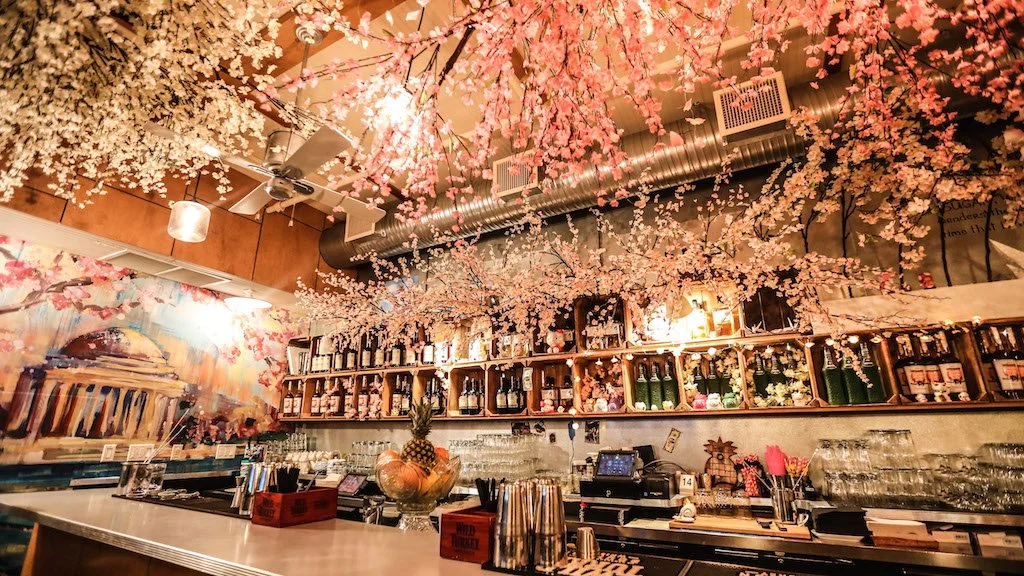 Southern-Efficiency-Cherry-Blossom-PUB-Photo-by-Farrah-Skeiky-2-1.jpg