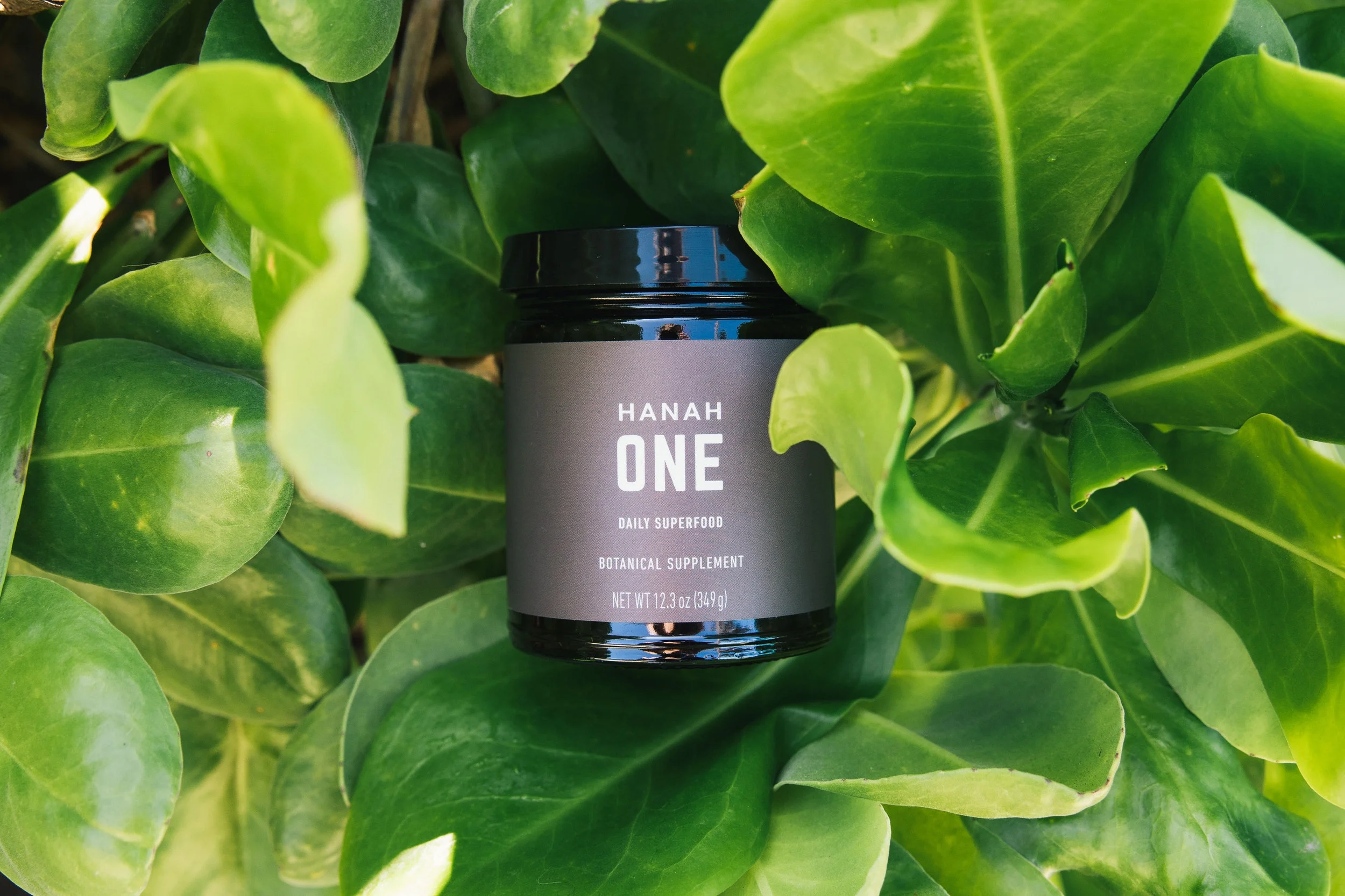 HANAH One - A Power Horse Supplement!