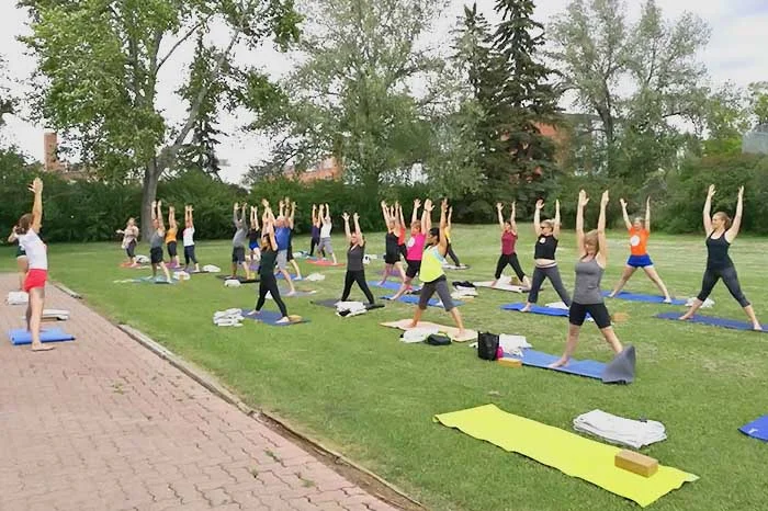 calgary-iyengar-yoga.jpg