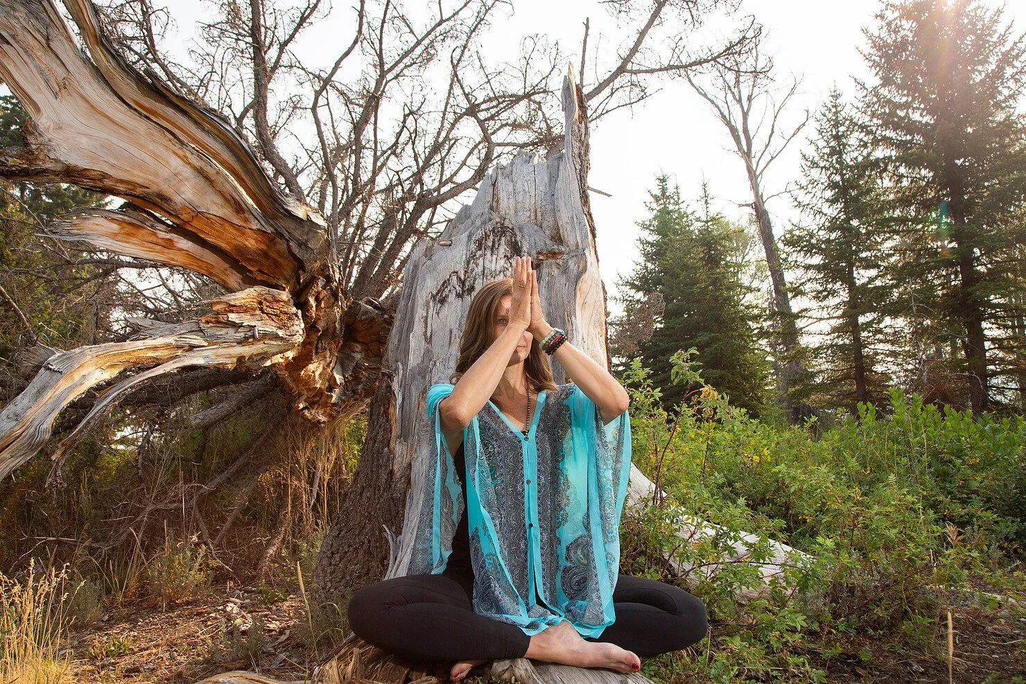 What Is Kriya?