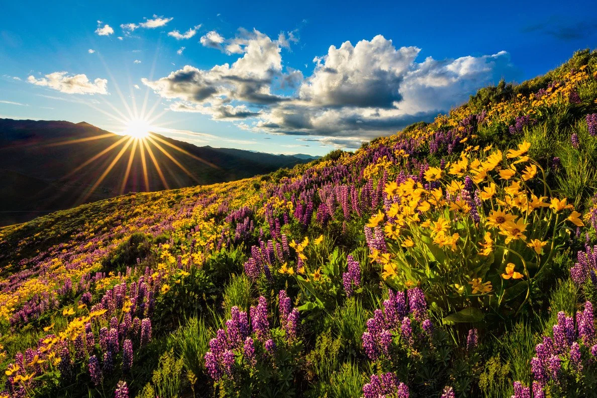Sun Valley Wellness Festival Celebrates 25 years Of Pioneering Wellness Programs