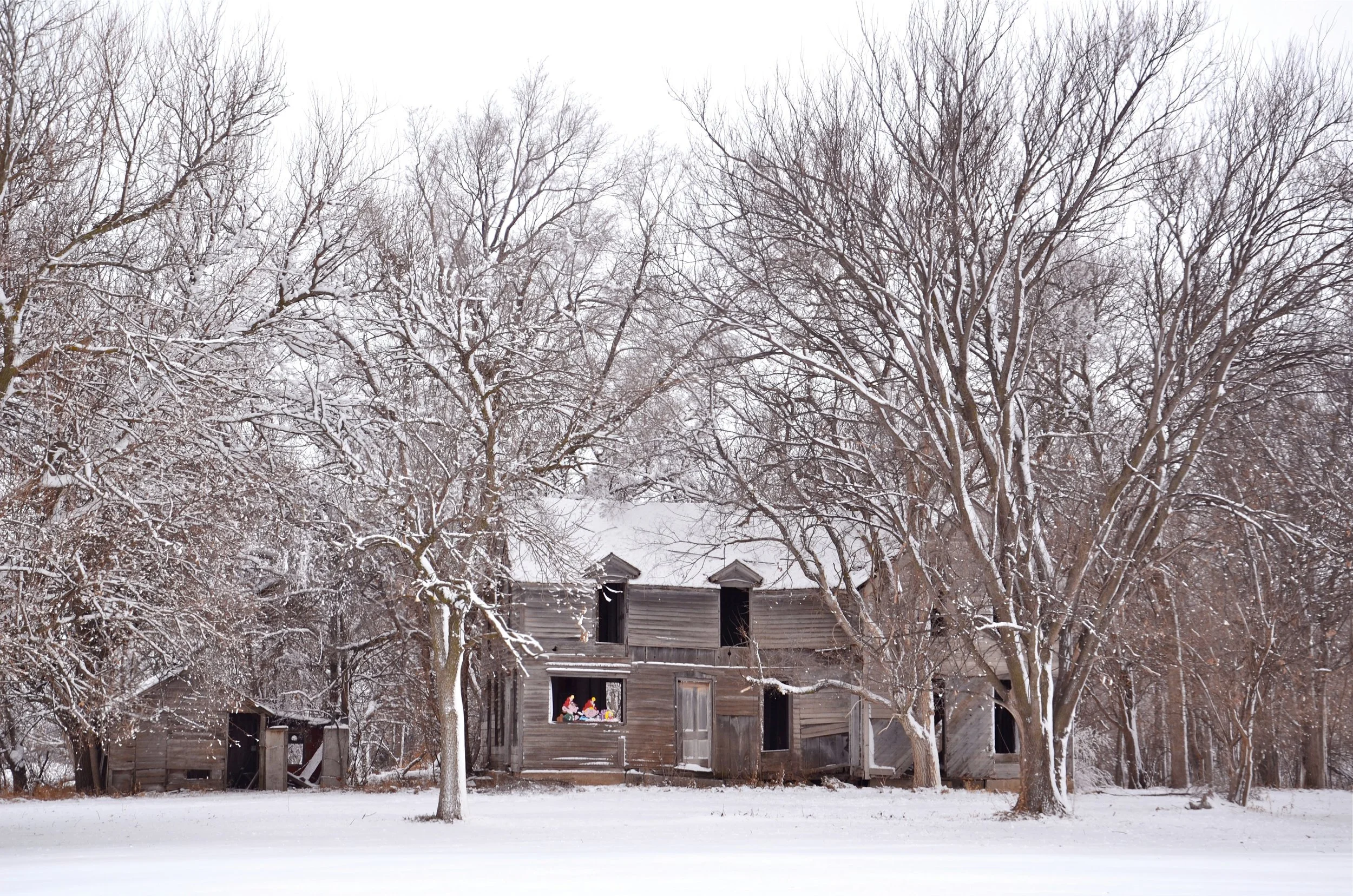 The Importance Of Showing Your Home The Love And Care It Deserves