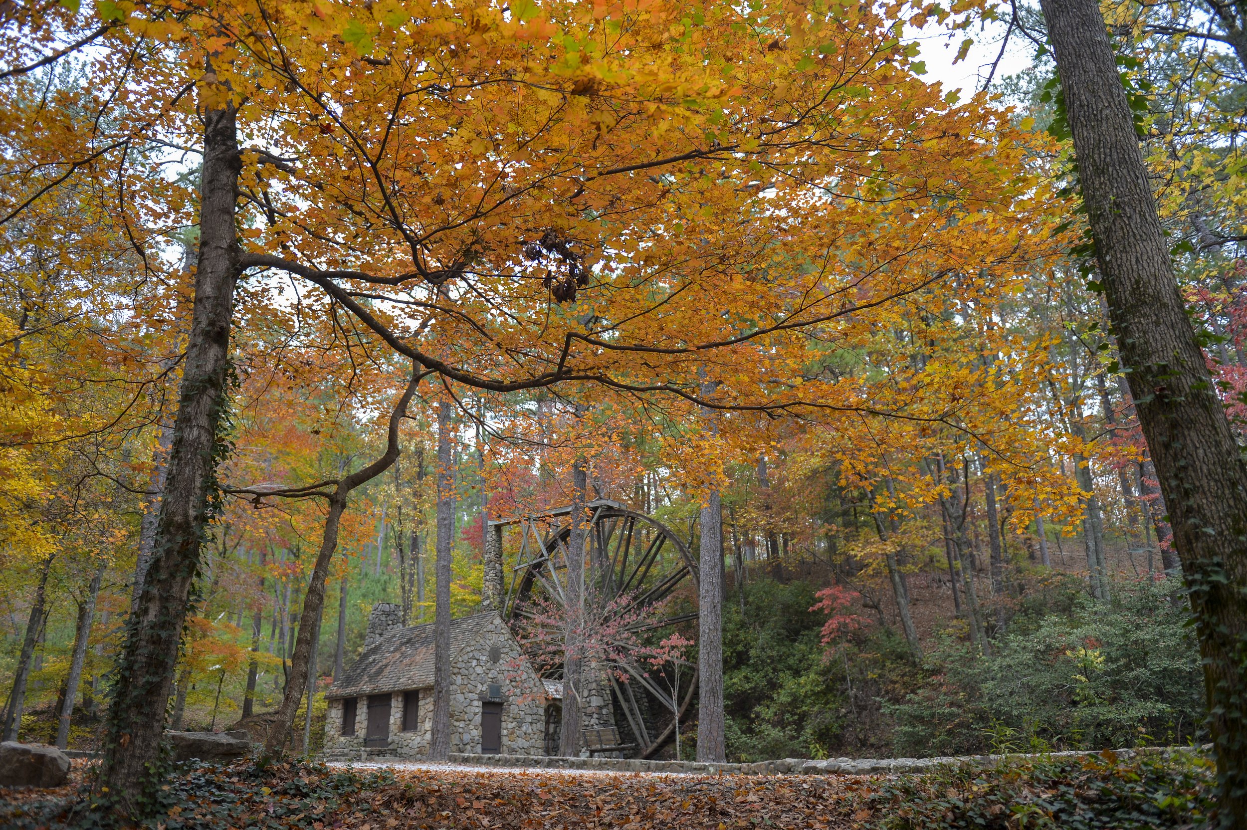 201110 G33550 Old Mill Fall Colors 28136 BS1.jpg