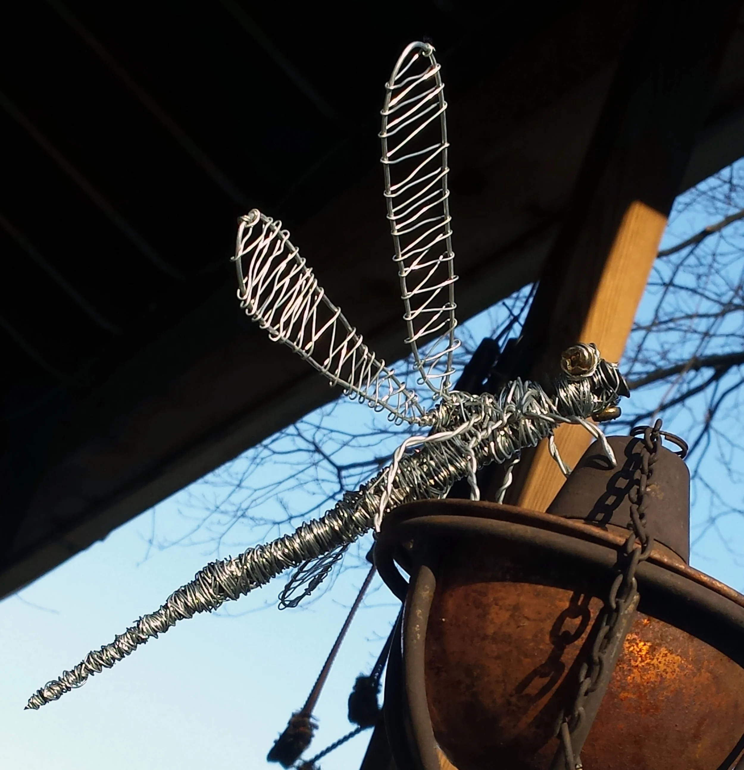 Dragonfly
