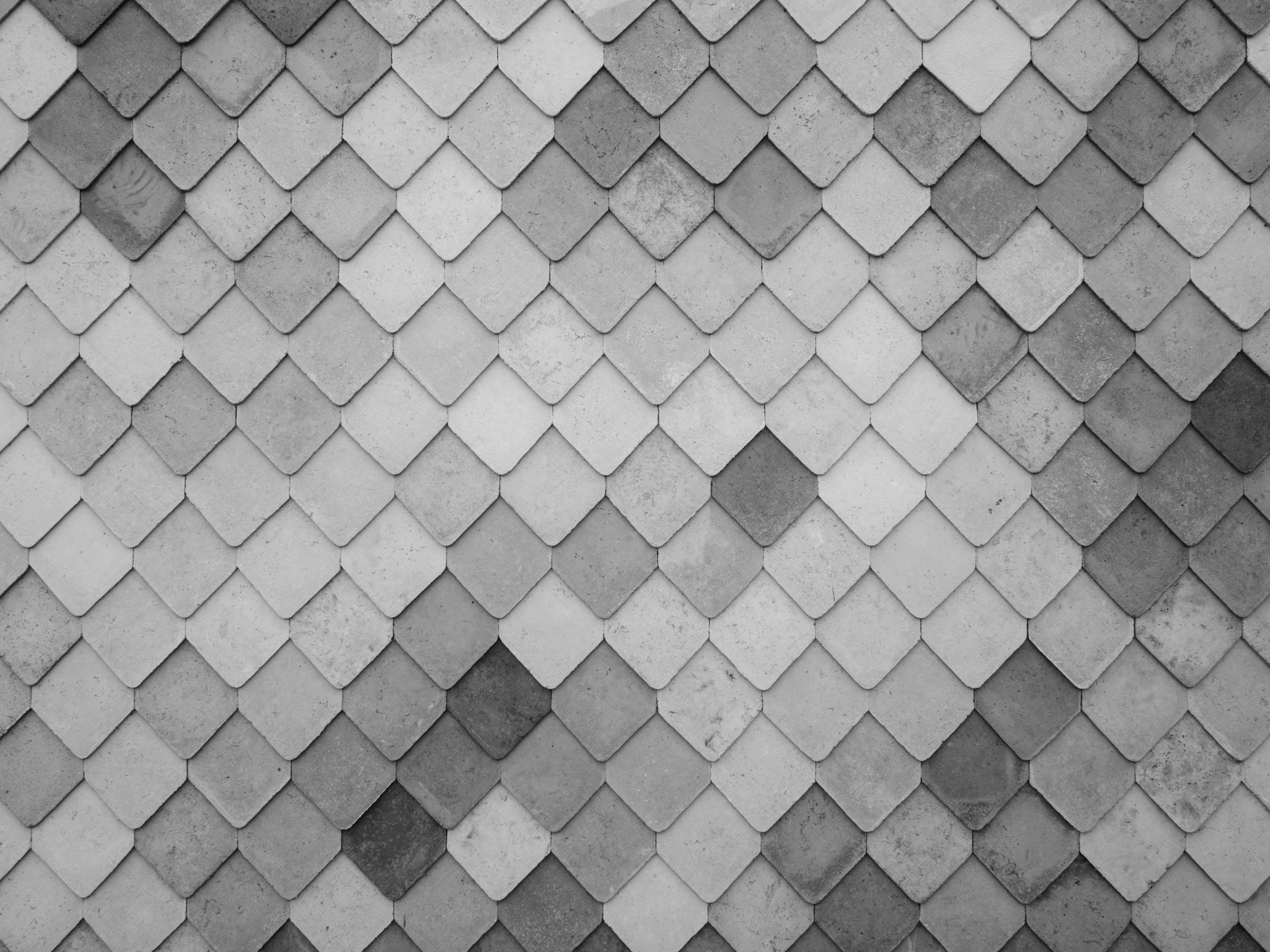 pexels-photo-486458.jpeg