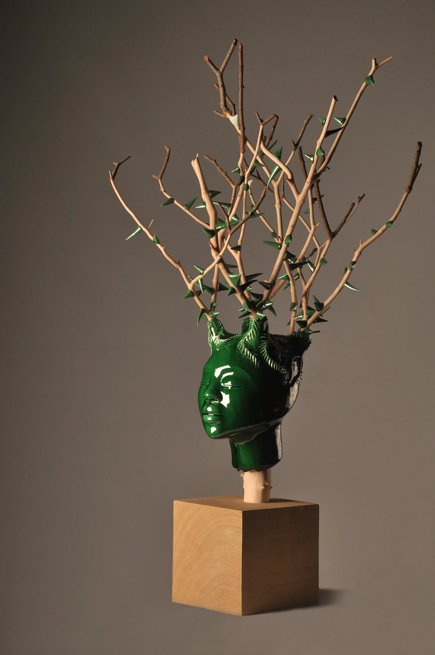 Daphne clone enhanced.jpg