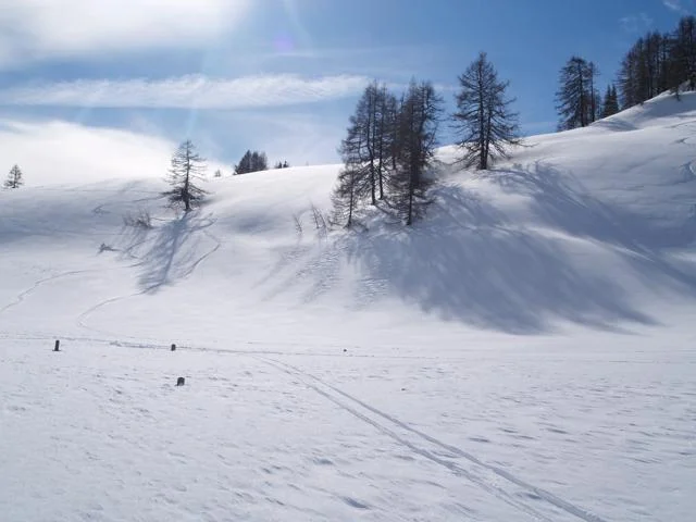 ski_tracks.jpg