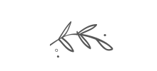 Leaf grey 1.png