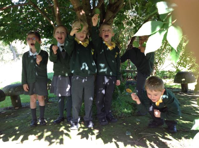  In Science we walked around the school grounds looking for seasonal change. &nbsp;We chose a tree to track through the year to see how it changes. 