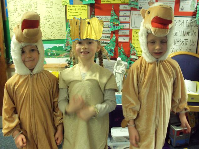  Year 1 camels. 